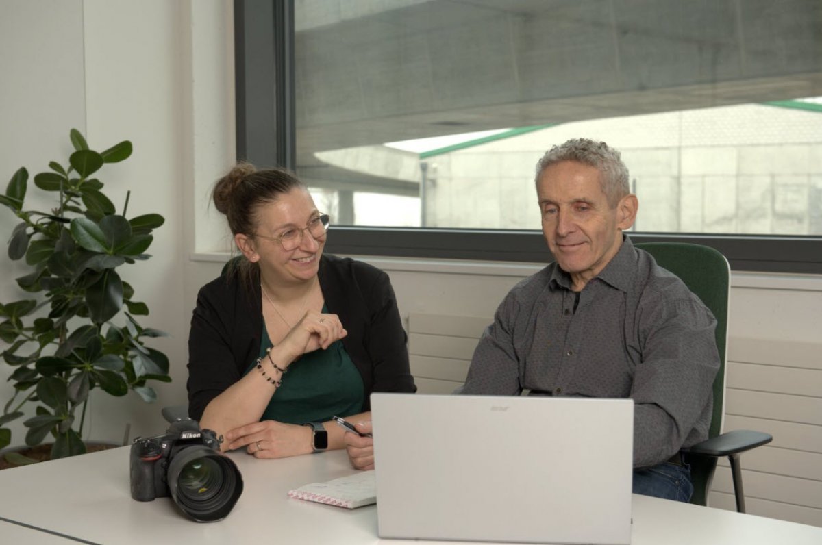 2. Struktur und Inhalte effizient entwickeln - PixelWorld